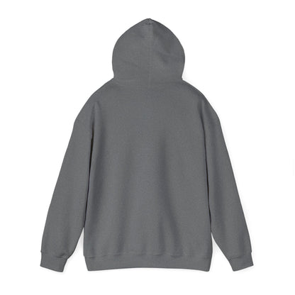 Sweet and Sarwa Signature Hoodie - Grey